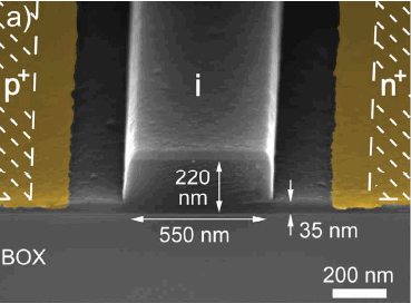 Nanophotonic rib waveguide diodes carry light photons, rather than copper wires carrying electrons. <font face=Arial size=-2>(Source: IBM)</font>