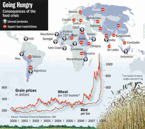 Food crisis: Map of riots and export bans <font size=-2>(Source: Spiegel)</font>