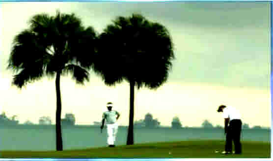 Singapore golf course <font face=Arial size=-2>(Source: Bloomberg tv)</font>