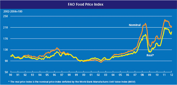 FAO Food Price Index - January 2012
