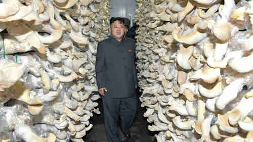 Kim Jong-un at a mushroom farm (AFP/KCNA)