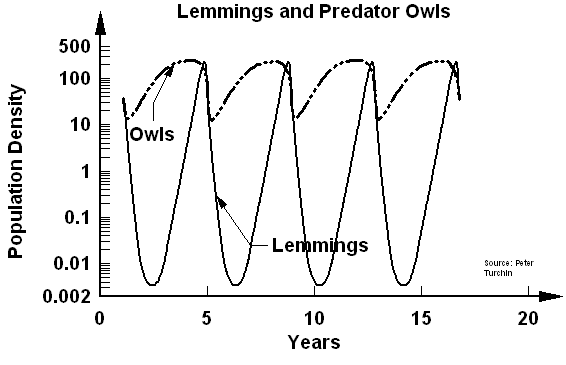 Stocks of lemmings (prey) and owls (predator) in a region <font face=Arial size=-2>(Source: Peter Turchin, <i>Population Dynamics</i>)</font>