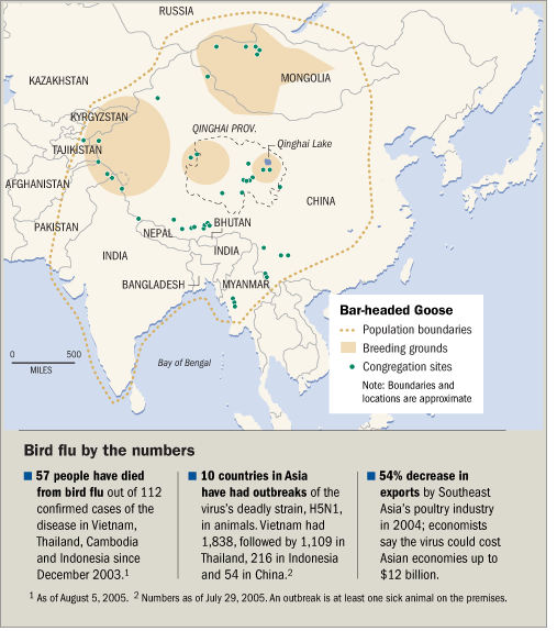 Bird flu - infected breeding grounds of migratory birds <font size=-2>(Source: WSJ)</font>