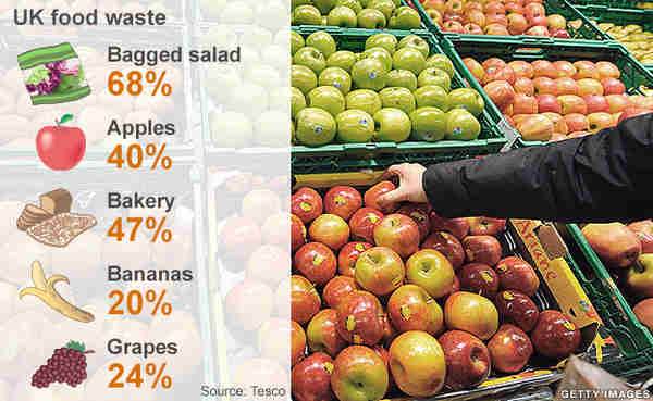 UK food waste figures (BBC/Getty)